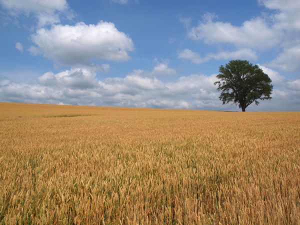 f:id:OKP:20120722131931j:plain