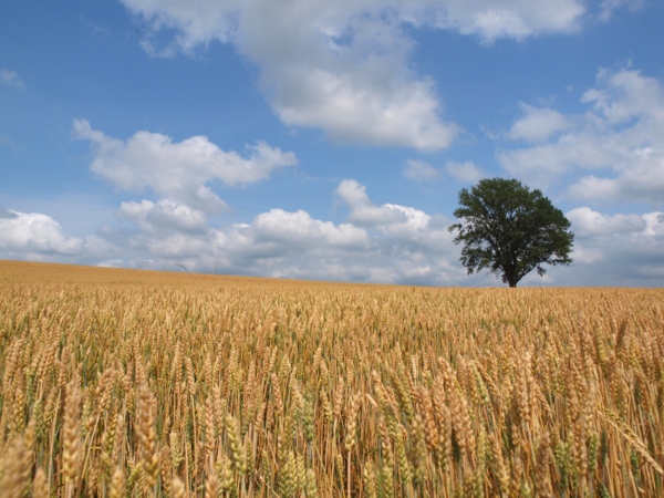 f:id:OKP:20120722132512j:plain