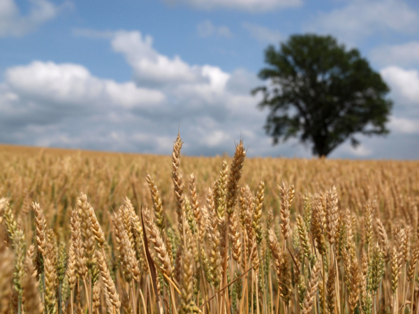 f:id:OKP:20120722132617j:plain