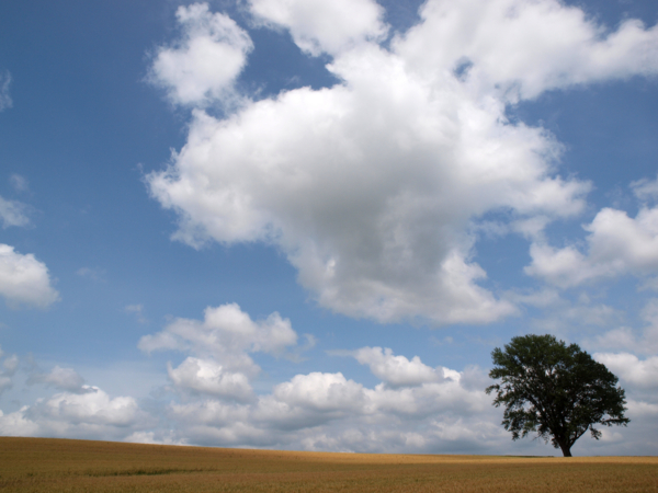 f:id:OKP:20120722132712j:plain