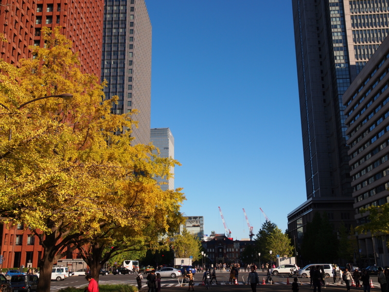 f:id:OKP:20121110150107j:plain
