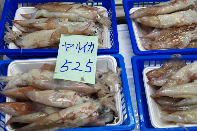 f:id:OKP:20130223071822j:plain