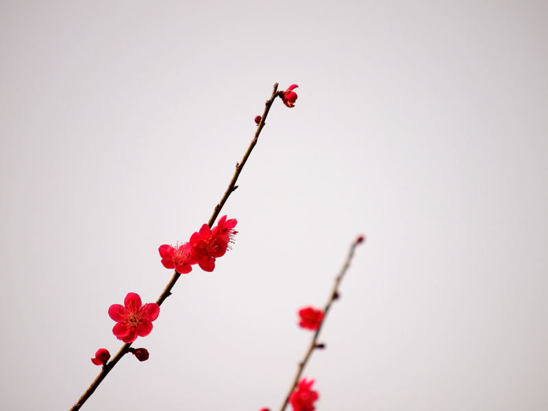 f:id:OKP:20130310140055j:plain