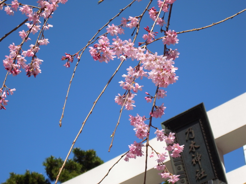 f:id:OKP:20130319084711j:plain