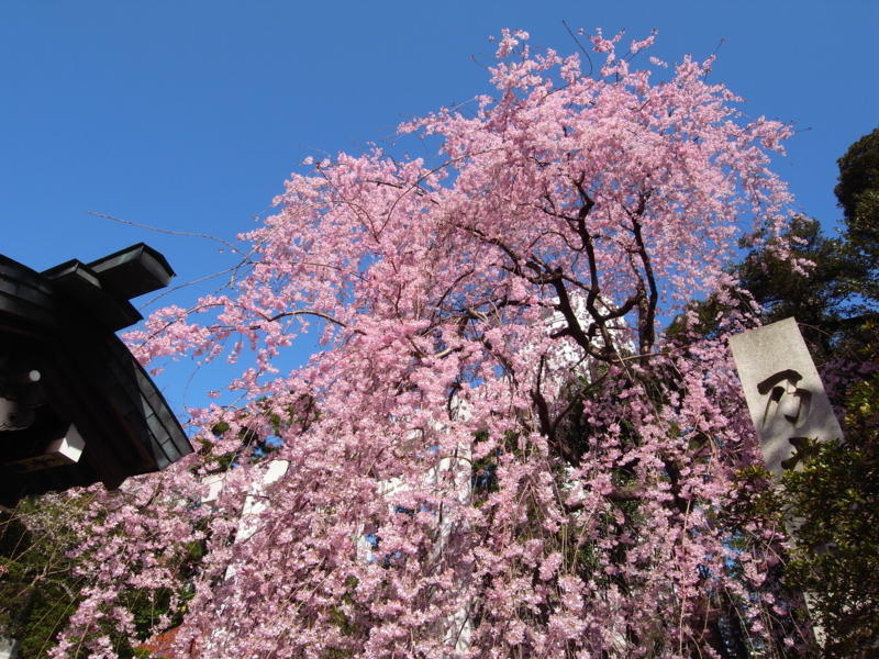 f:id:OKP:20130319084943j:plain