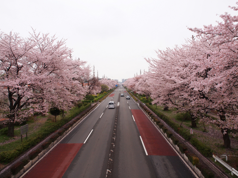 f:id:OKP:20130331111356j:plain