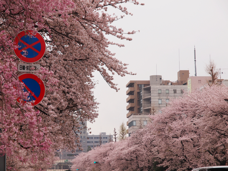 f:id:OKP:20130331113531j:plain