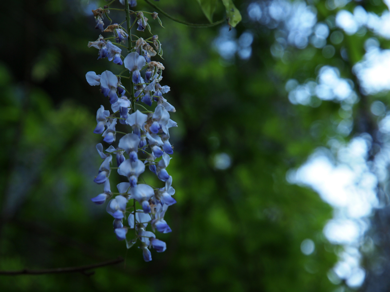 f:id:OKP:20130518071214j:plain