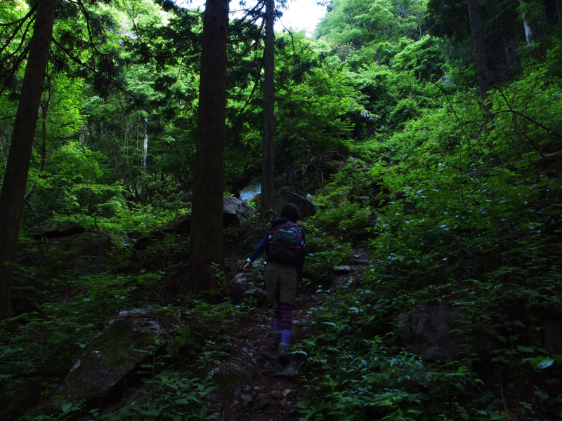 f:id:OKP:20130518072507j:plain