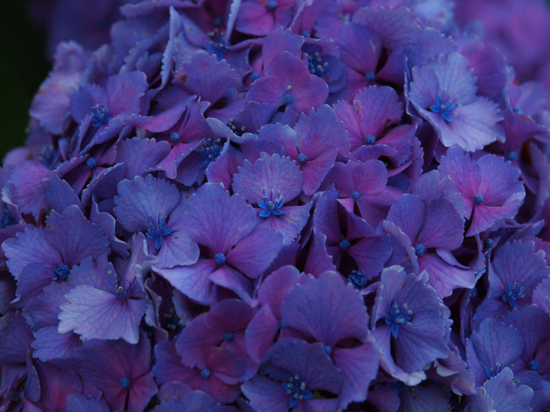 f:id:OKP:20130623230914j:plain