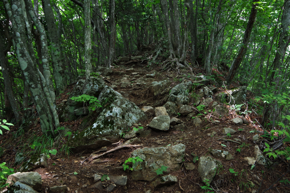 f:id:OKP:20130731000433j:plain