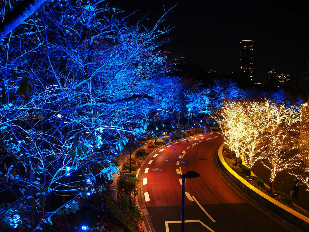 f:id:OKP:20131202114939j:plain