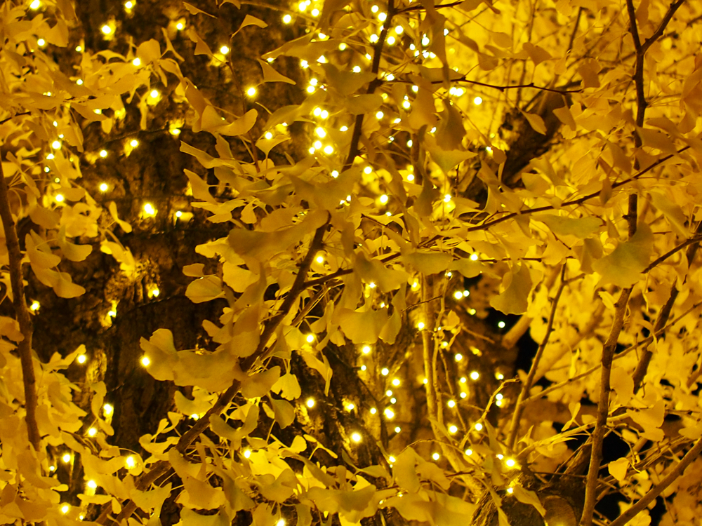 f:id:OKP:20131202114940j:plain