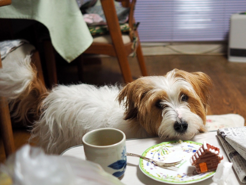 f:id:OKP:20131223221346j:plain