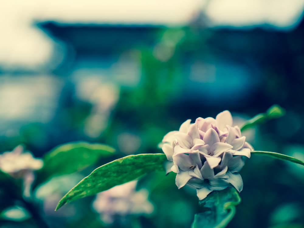 f:id:OKP:20150322003128j:plain