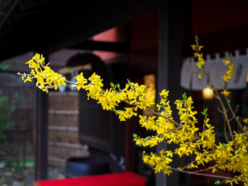 f:id:OKP:20150322003138j:plain