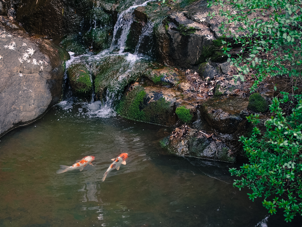 f:id:OKP:20150322233225j:plain