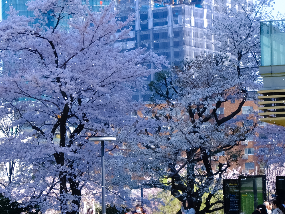 f:id:OKP:20150402231632j:plain