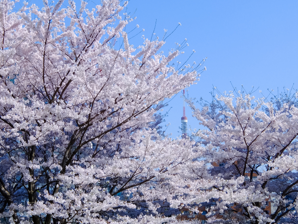 f:id:OKP:20150402231634j:plain