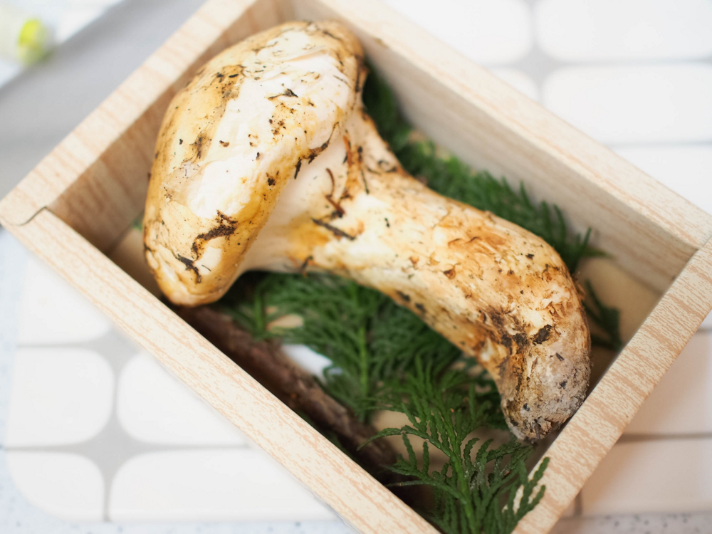 f:id:OKP:20150917140425j:plain