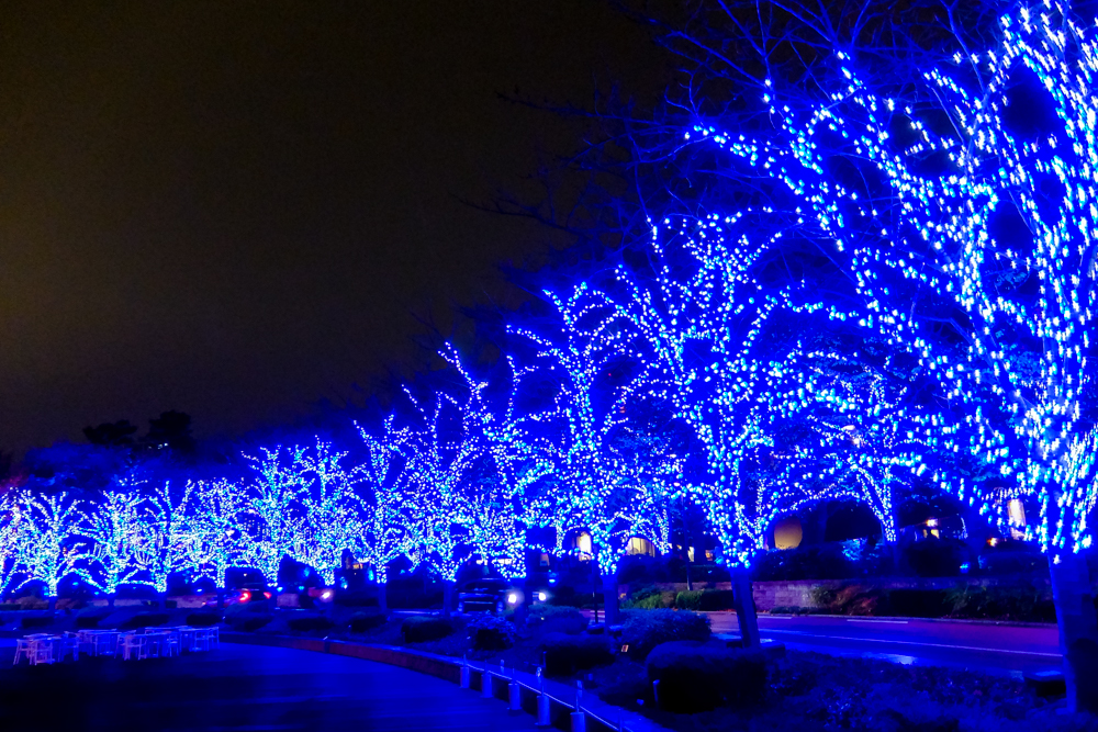 f:id:OKP:20151207201345j:plain