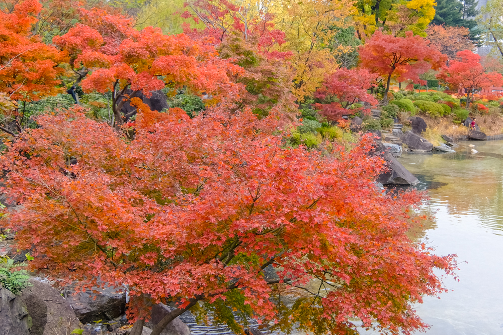 f:id:OKP:20151207201352j:plain