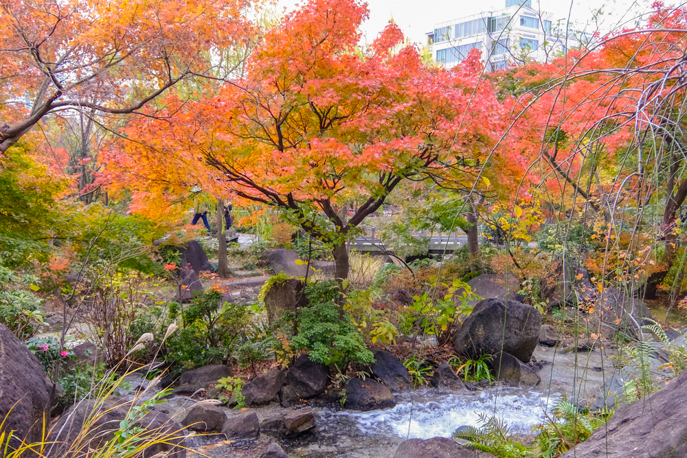 f:id:OKP:20151207201355j:plain