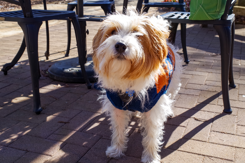 f:id:OKP:20160130100915j:plain