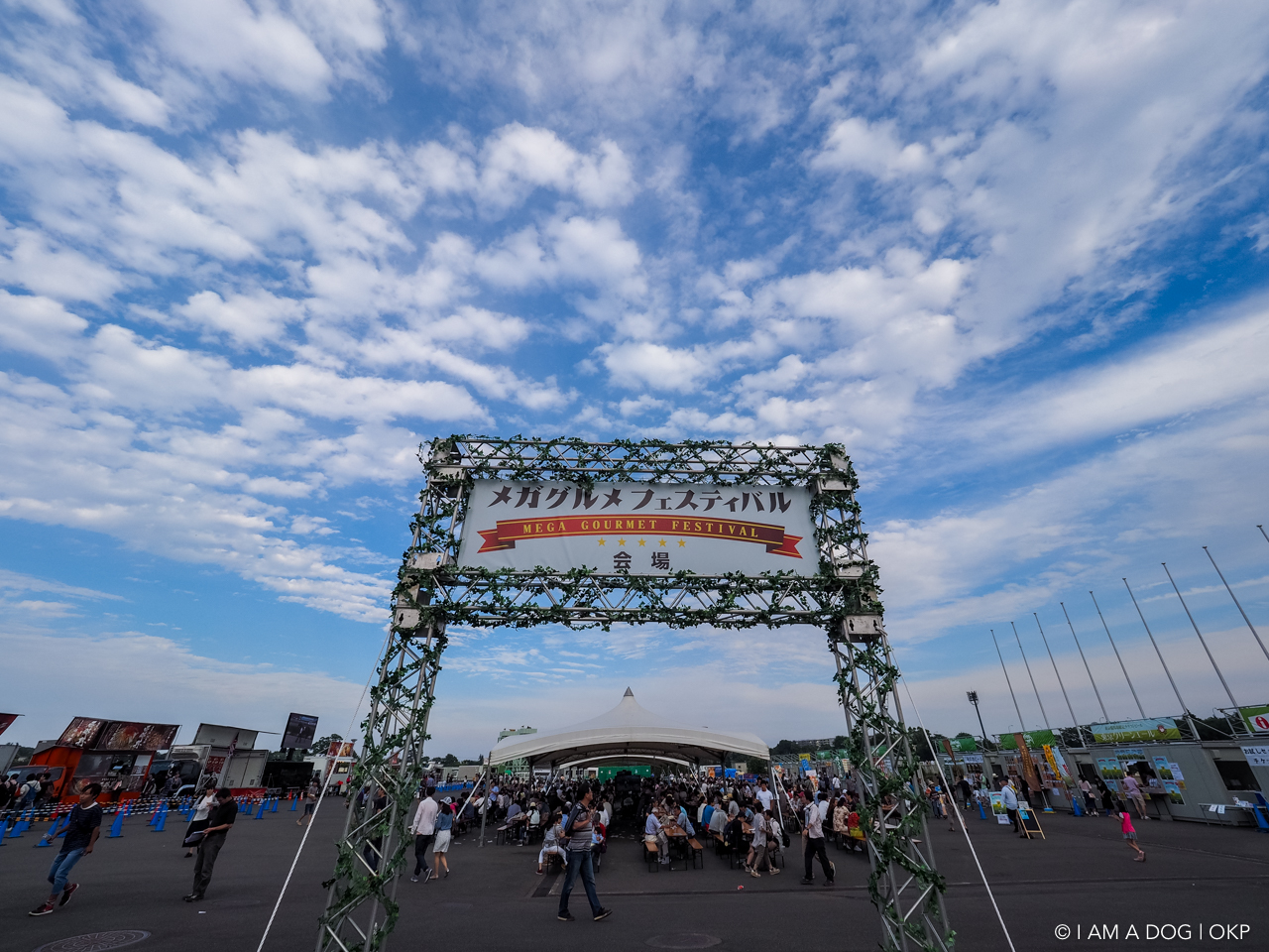 f:id:OKP:20160530174944j:plain