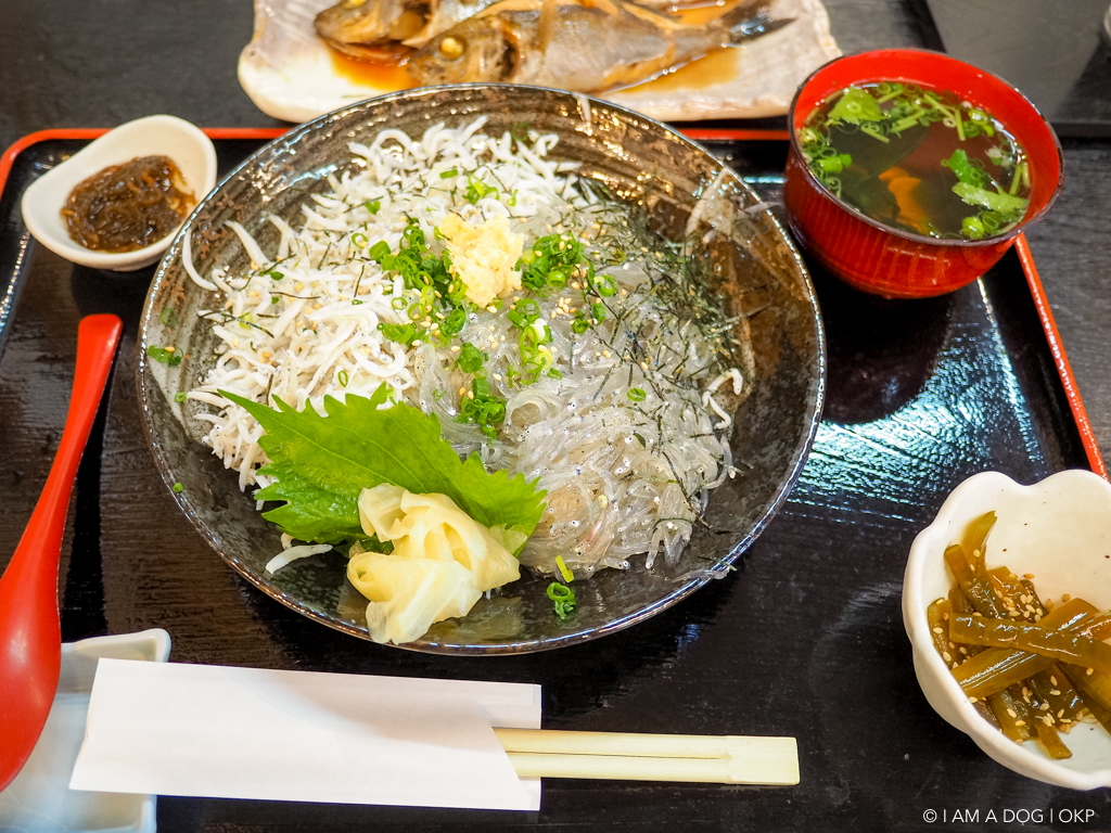 f:id:OKP:20160622220848j:plain