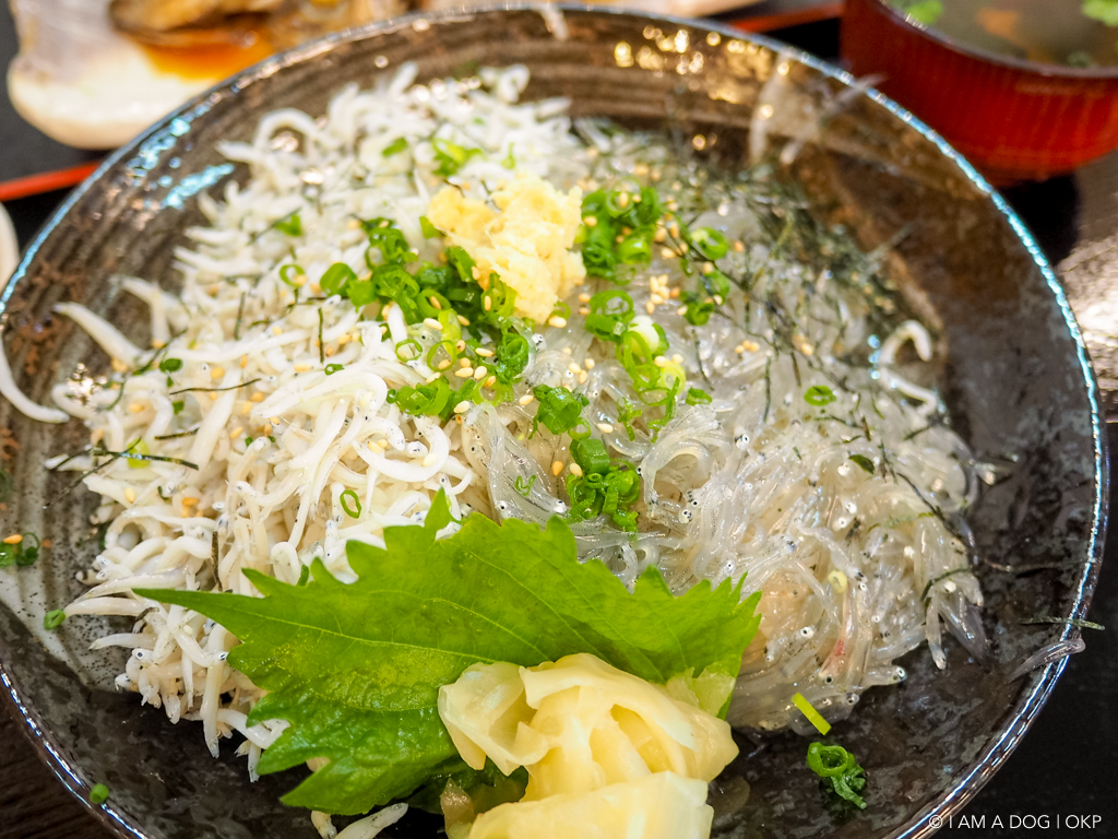 f:id:OKP:20160622220849j:plain