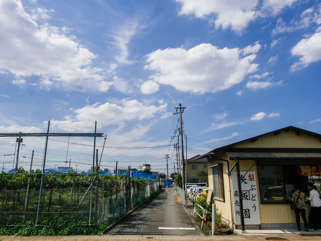 f:id:OKP:20160904190335j:plain f:id:OKP:20160904190335j:plain