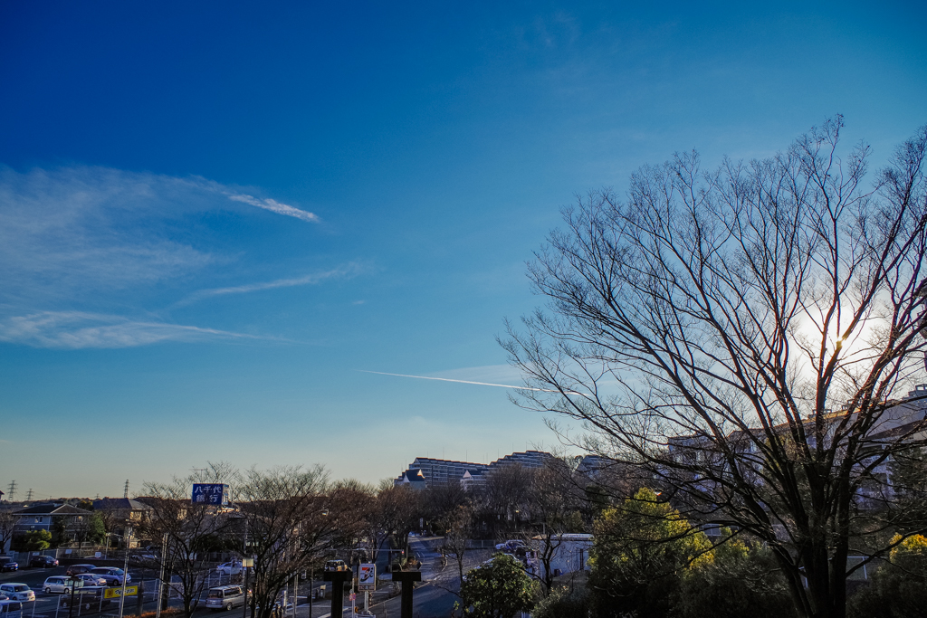 幻の梨とガンダムデザイナーを生んだ 稲城 Suumoタウン