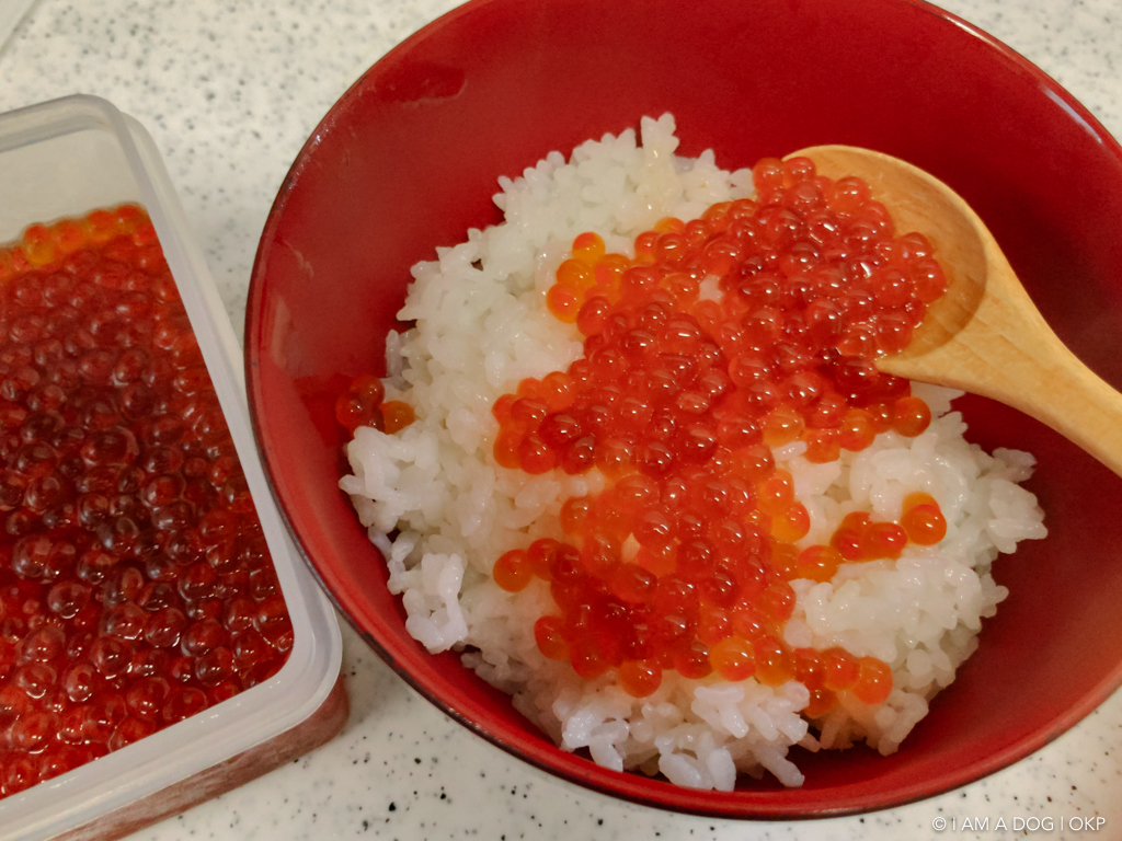 f:id:OKP:20160920112017j:plain