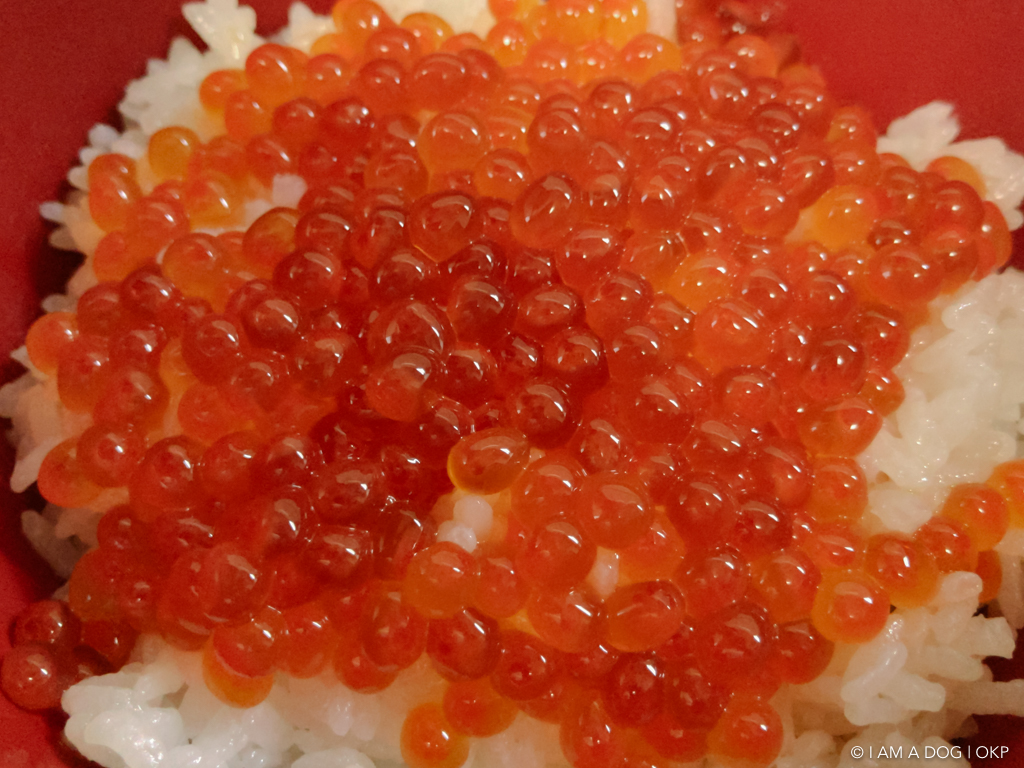 f:id:OKP:20160920112018j:plain