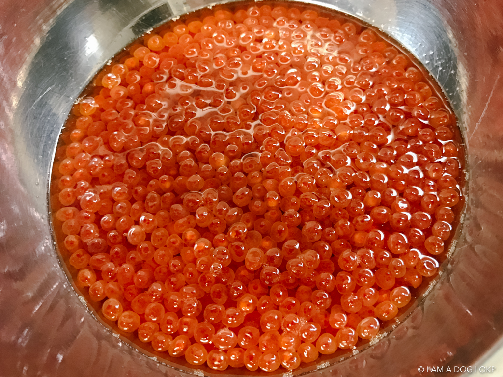 f:id:OKP:20160920112021j:plain