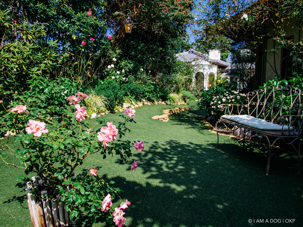 f:id:OKP:20161003161159j:plain