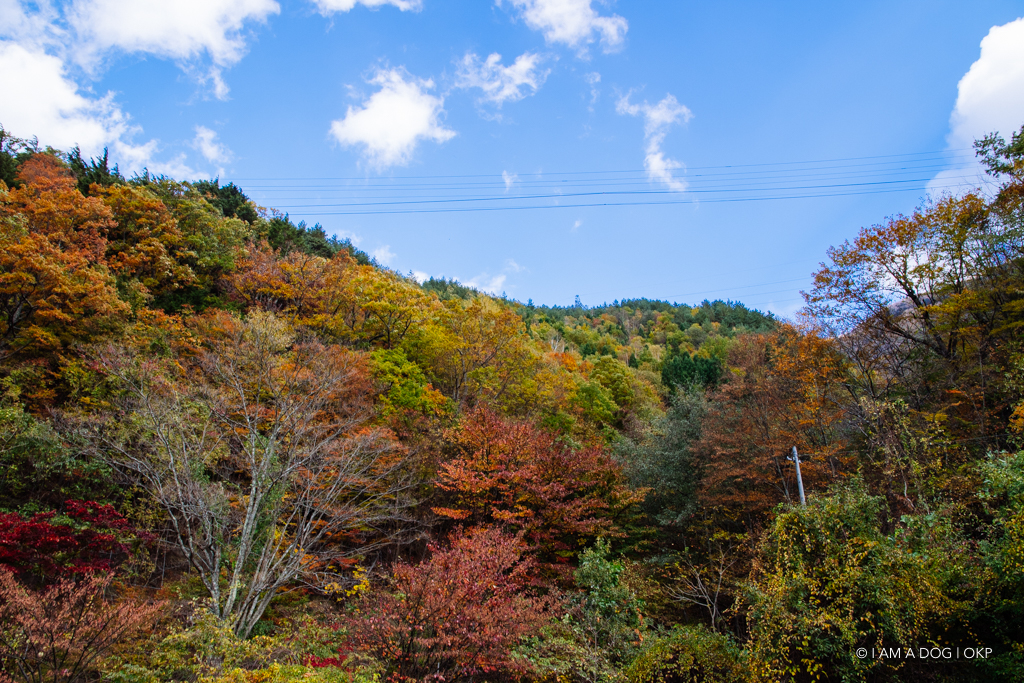 f:id:OKP:20161108003023j:plain