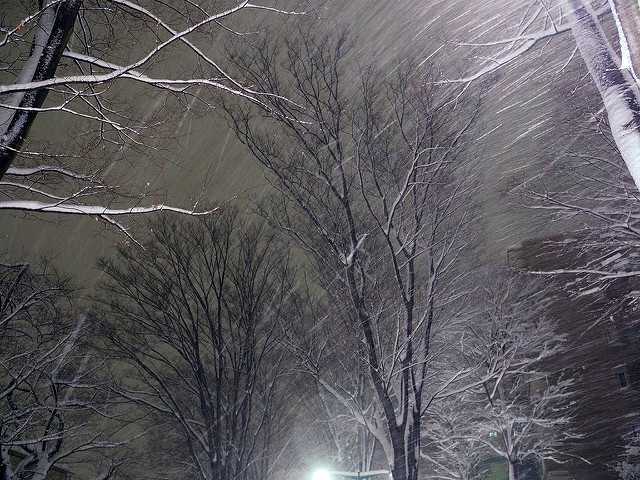 f:id:OKP:20161123161752j:plain