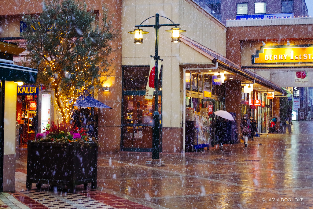 f:id:OKP:20170211000824j:plain