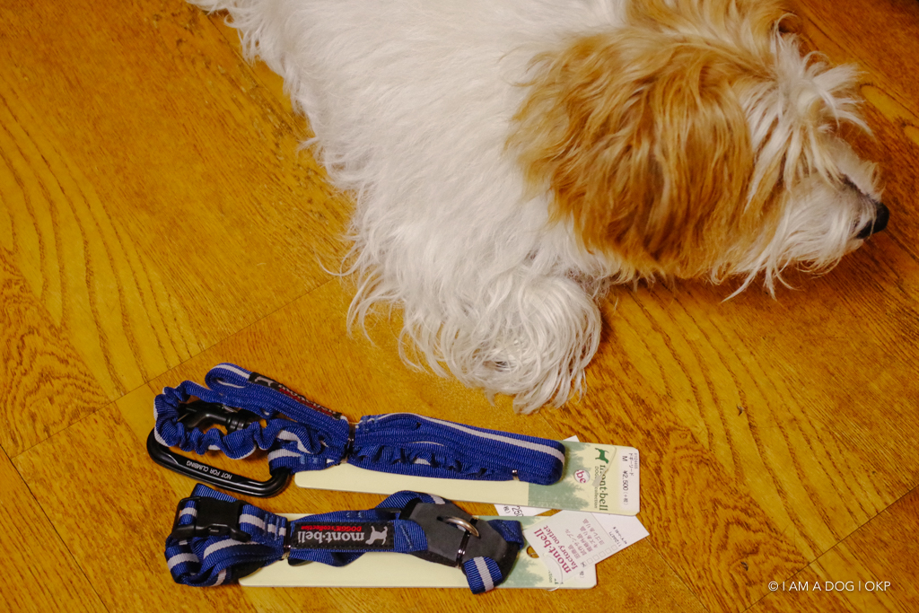 f:id:OKP:20170212014255j:plain