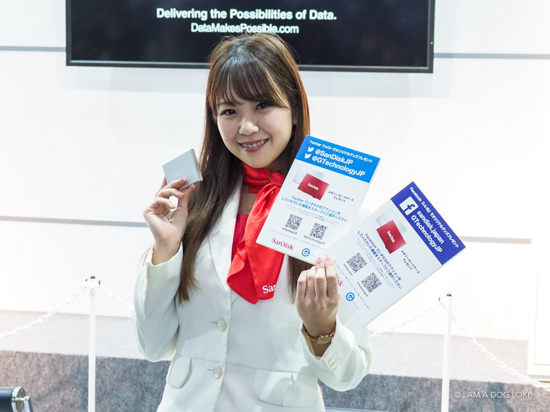 f:id:OKP:20170225011711j:plain