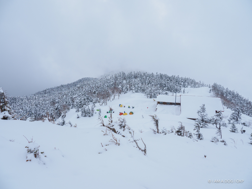 f:id:OKP:20170404143142j:plain