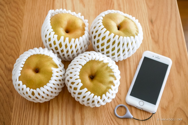 f:id:OKP:20170912154416j:plain