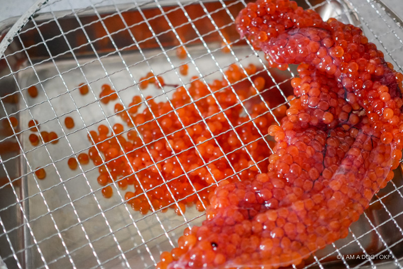 f:id:OKP:20170912154420j:plain