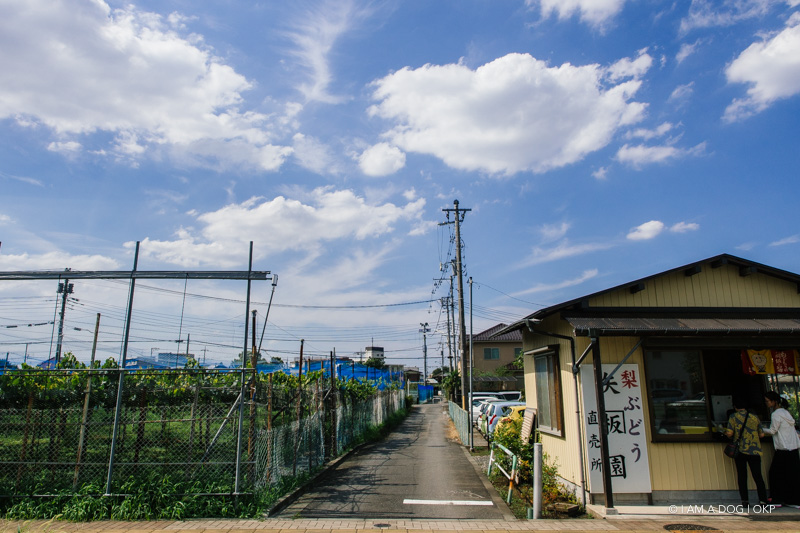 f:id:OKP:20170912165210j:plain