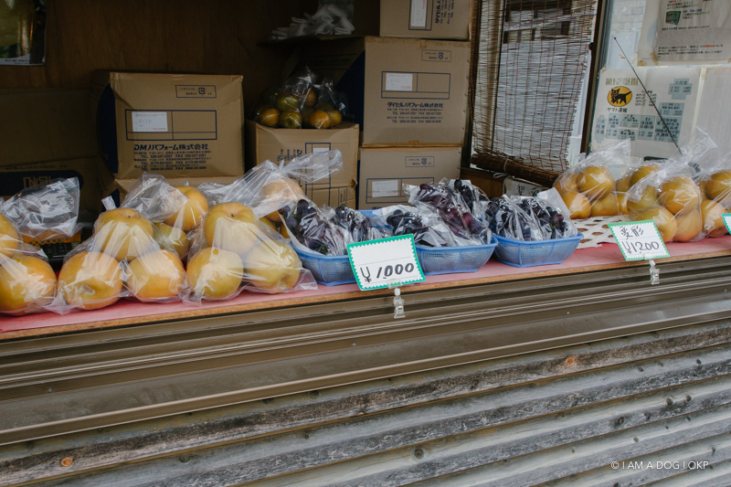 f:id:OKP:20170912165212j:plain