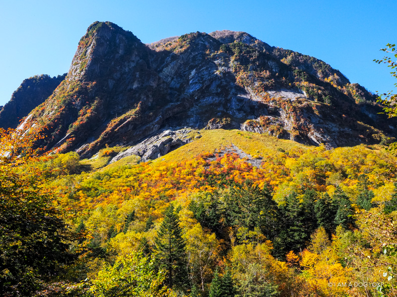 f:id:OKP:20170919142050j:plain