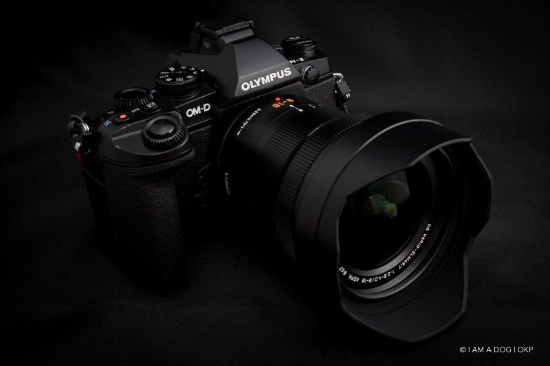Mft広角ズームの決定版となるか Panasonic Leica Dg Vario Elmarit 8 18mmを買いました I Am A Dog Mft広角ズームの決定版となるか Panasonic Leica Dg Vario Elmarit 8 18mmを買いました I Am A Dog