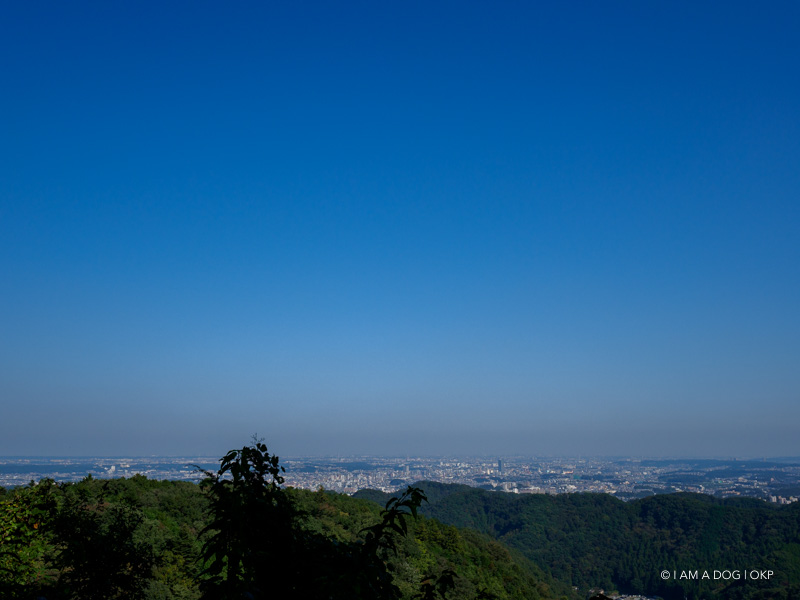 f:id:OKP:20180119095053j:plain